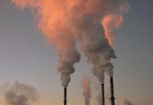 Sztuczna inteligencja w zarządzaniu energią